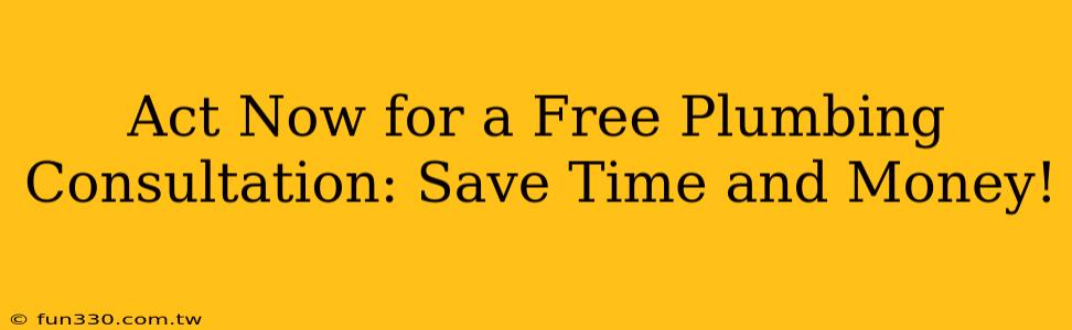 Act Now for a Free Plumbing Consultation: Save Time and Money!