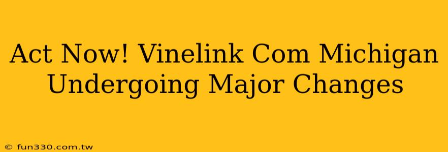 Act Now! Vinelink Com Michigan Undergoing Major Changes