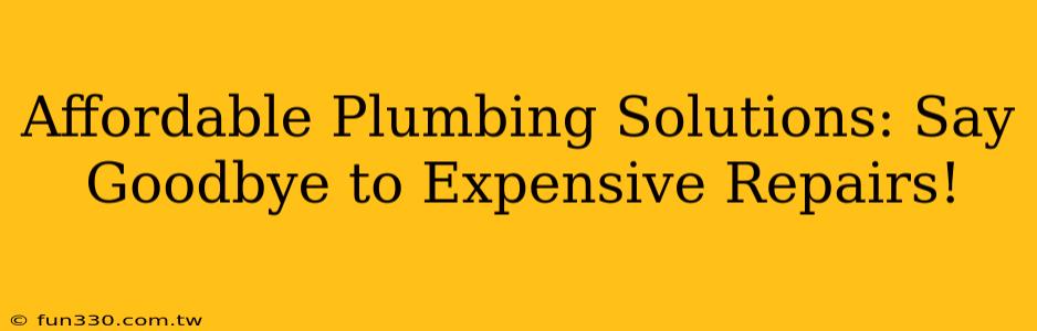 Affordable Plumbing Solutions: Say Goodbye to Expensive Repairs!