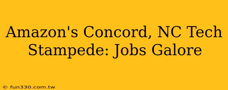 Amazon's Concord, NC Tech Stampede: Jobs Galore