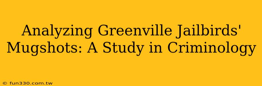 Analyzing Greenville Jailbirds' Mugshots: A Study in Criminology