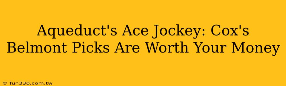 Aqueduct's Ace Jockey: Cox's Belmont Picks Are Worth Your Money