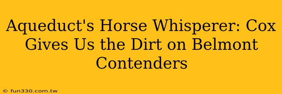 Aqueduct's Horse Whisperer: Cox Gives Us the Dirt on Belmont Contenders