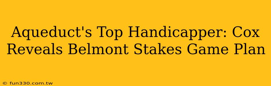 Aqueduct's Top Handicapper: Cox Reveals Belmont Stakes Game Plan