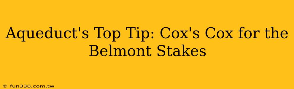 Aqueduct's Top Tip: Cox's Cox for the Belmont Stakes