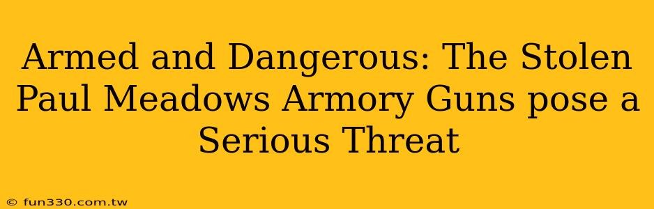 Armed and Dangerous: The Stolen Paul Meadows Armory Guns pose a Serious Threat