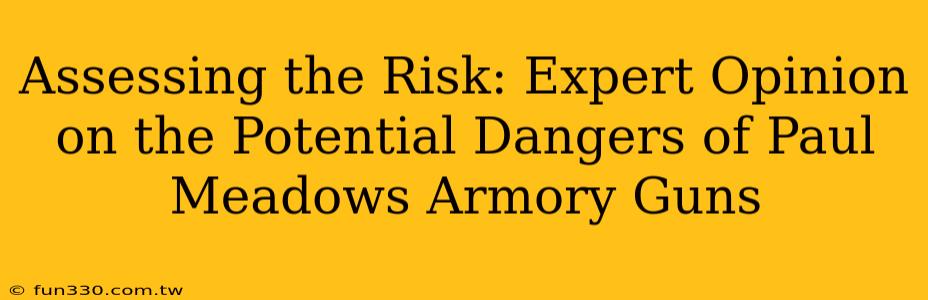 Assessing the Risk: Expert Opinion on the Potential Dangers of Paul Meadows Armory Guns