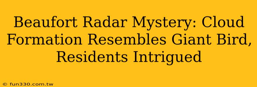 Beaufort Radar Mystery: Cloud Formation Resembles Giant Bird, Residents Intrigued