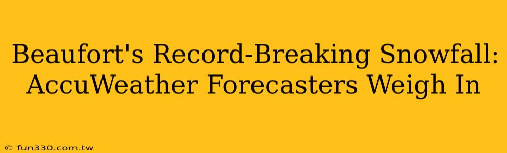 Beaufort's Record-Breaking Snowfall: AccuWeather Forecasters Weigh In