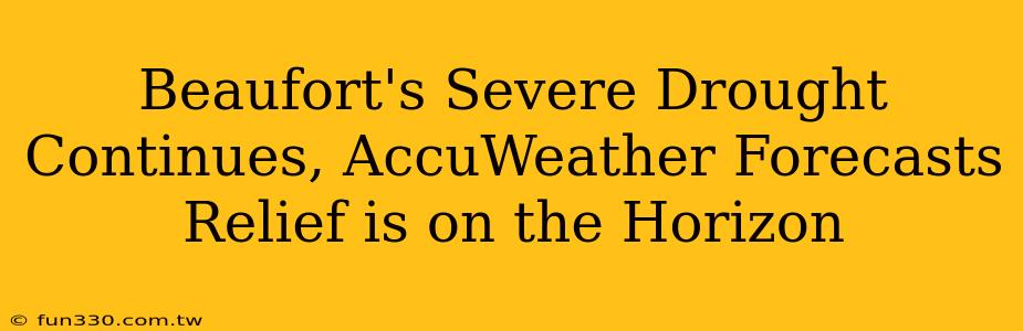 Beaufort's Severe Drought Continues, AccuWeather Forecasts Relief is on the Horizon