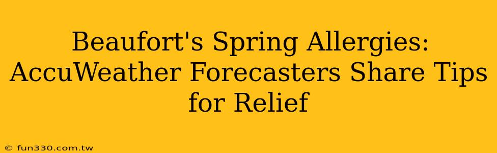 Beaufort's Spring Allergies: AccuWeather Forecasters Share Tips for Relief