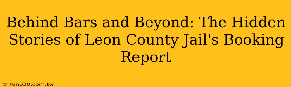 Behind Bars and Beyond: The Hidden Stories of Leon County Jail's Booking Report