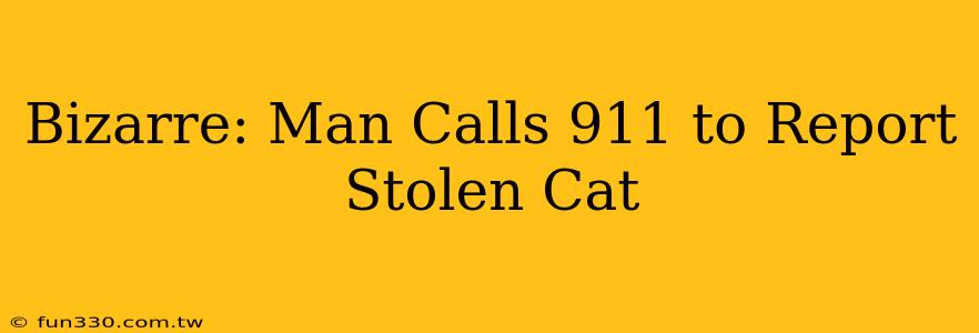 Bizarre: Man Calls 911 to Report Stolen Cat