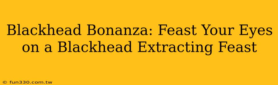 Blackhead Bonanza: Feast Your Eyes on a Blackhead Extracting Feast