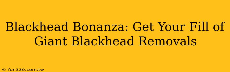 Blackhead Bonanza: Get Your Fill of Giant Blackhead Removals