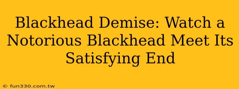 Blackhead Demise: Watch a Notorious Blackhead Meet Its Satisfying End