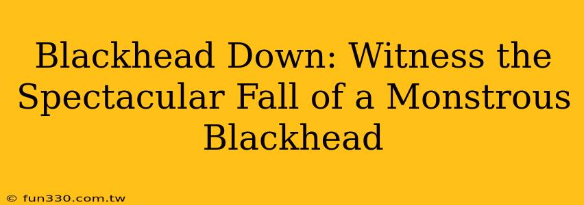 Blackhead Down: Witness the Spectacular Fall of a Monstrous Blackhead