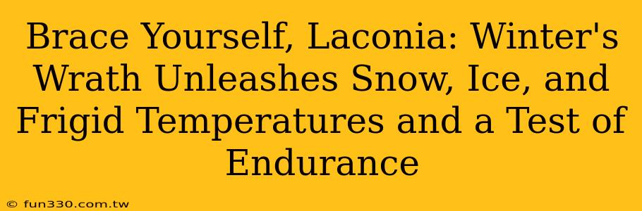 Brace Yourself, Laconia: Winter's Wrath Unleashes Snow, Ice, and Frigid Temperatures and a Test of Endurance