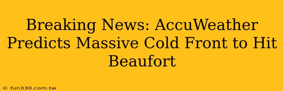 Breaking News: AccuWeather Predicts Massive Cold Front to Hit Beaufort