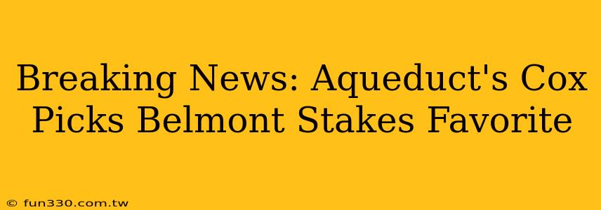 Breaking News: Aqueduct's Cox Picks Belmont Stakes Favorite