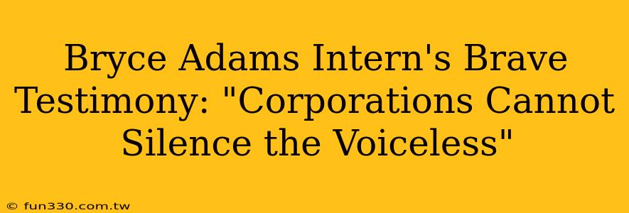 Bryce Adams Intern's Brave Testimony: "Corporations Cannot Silence the Voiceless"