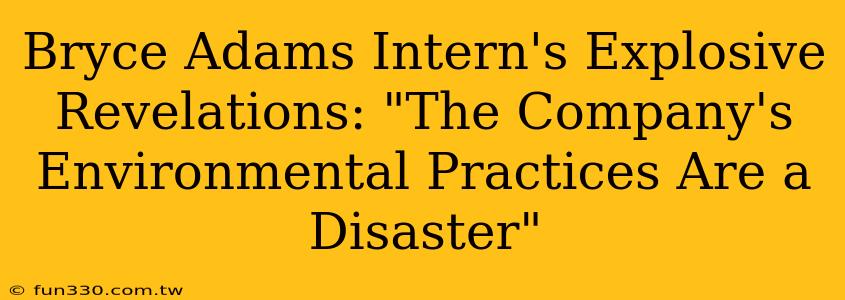 Bryce Adams Intern's Explosive Revelations: "The Company's Environmental Practices Are a Disaster"