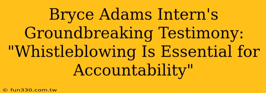 Bryce Adams Intern's Groundbreaking Testimony: "Whistleblowing Is Essential for Accountability"