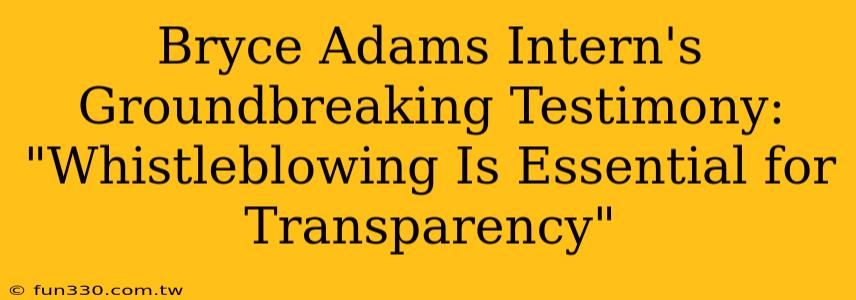 Bryce Adams Intern's Groundbreaking Testimony: "Whistleblowing Is Essential for Transparency"