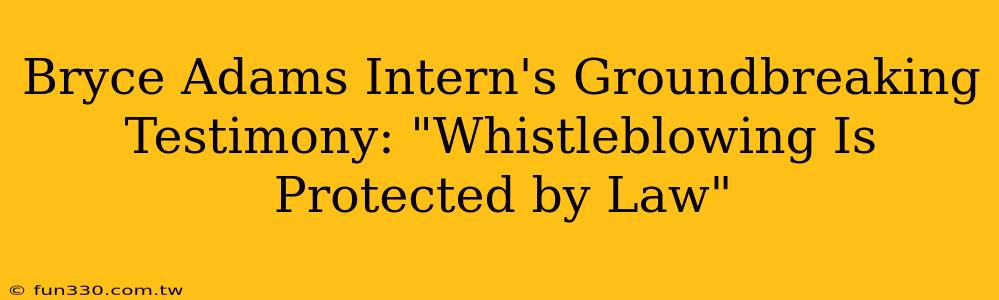 Bryce Adams Intern's Groundbreaking Testimony: "Whistleblowing Is Protected by Law"