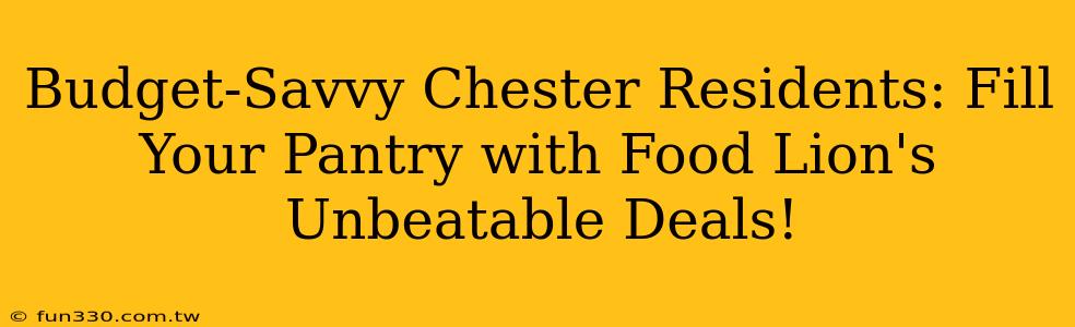 Budget-Savvy Chester Residents: Fill Your Pantry with Food Lion's Unbeatable Deals!