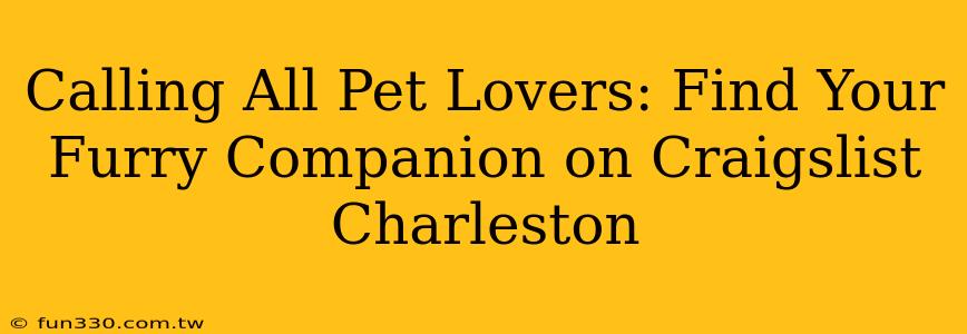 Calling All Pet Lovers: Find Your Furry Companion on Craigslist Charleston