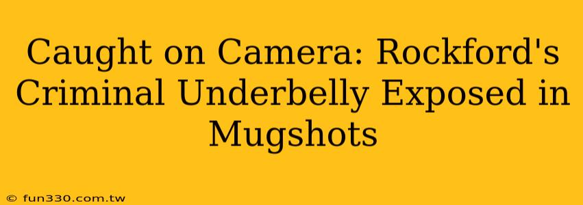 Caught on Camera: Rockford's Criminal Underbelly Exposed in Mugshots