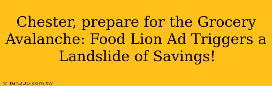 Chester, prepare for the Grocery Avalanche: Food Lion Ad Triggers a Landslide of Savings!