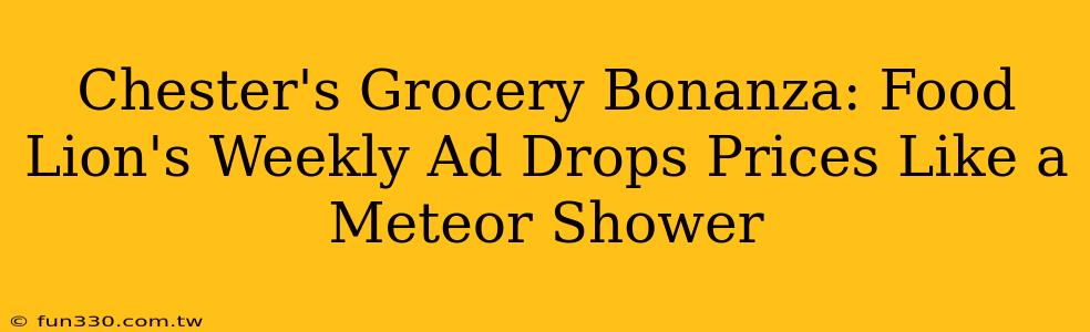 Chester's Grocery Bonanza: Food Lion's Weekly Ad Drops Prices Like a Meteor Shower