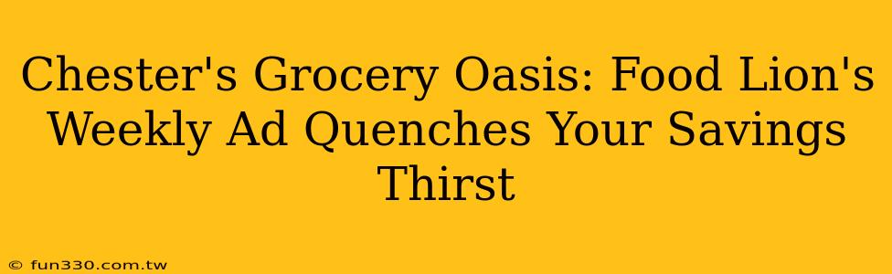 Chester's Grocery Oasis: Food Lion's Weekly Ad Quenches Your Savings Thirst