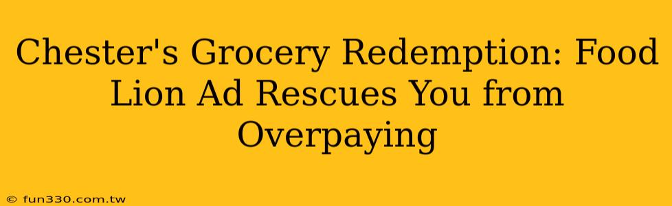 Chester's Grocery Redemption: Food Lion Ad Rescues You from Overpaying