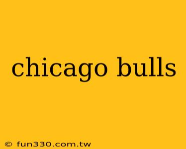 chicago bulls