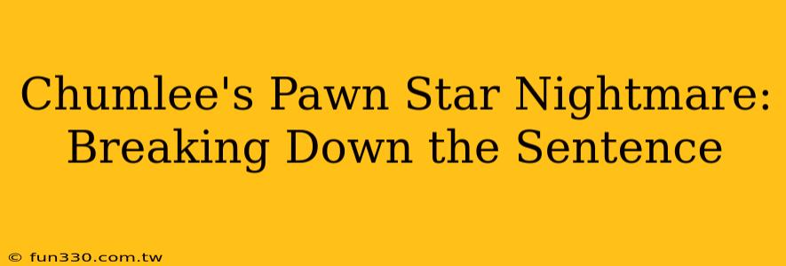 Chumlee's Pawn Star Nightmare: Breaking Down the Sentence