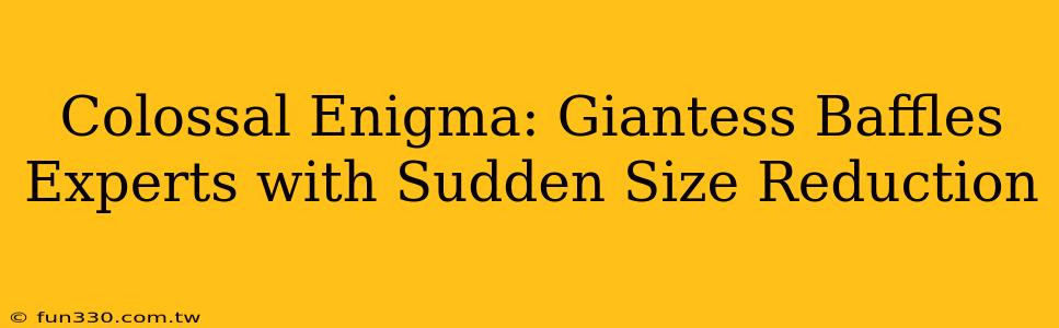 Colossal Enigma: Giantess Baffles Experts with Sudden Size Reduction