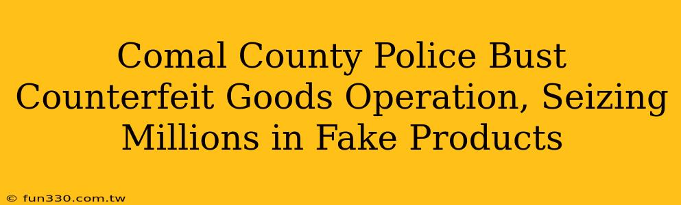 Comal County Police Bust Counterfeit Goods Operation, Seizing Millions in Fake Products