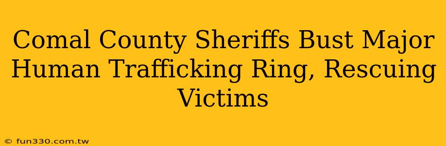 Comal County Sheriffs Bust Major Human Trafficking Ring, Rescuing Victims