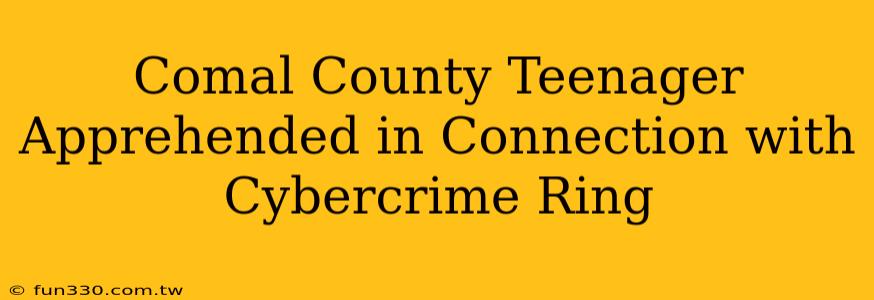 Comal County Teenager Apprehended in Connection with Cybercrime Ring