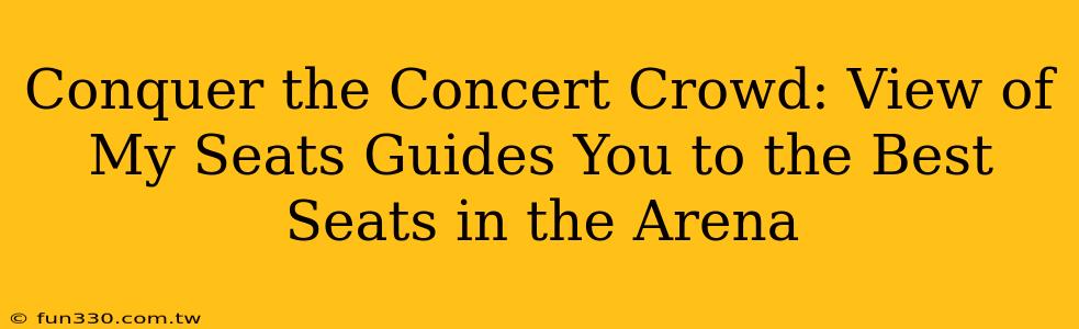 Conquer the Concert Crowd: View of My Seats Guides You to the Best Seats in the Arena