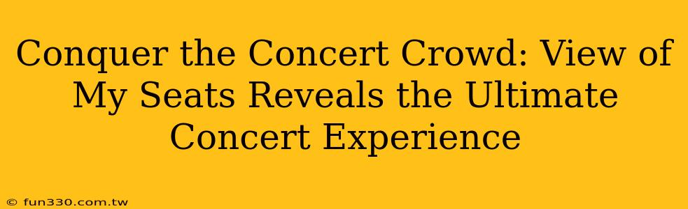 Conquer the Concert Crowd: View of My Seats Reveals the Ultimate Concert Experience