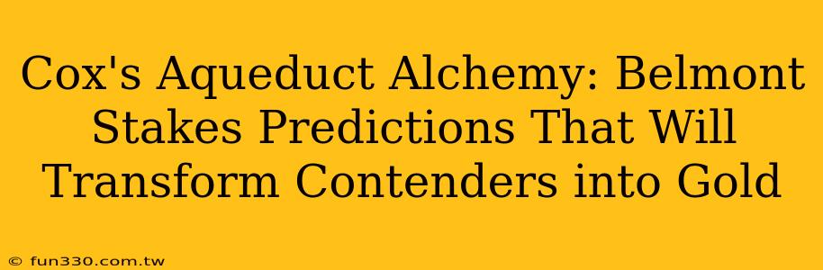 Cox's Aqueduct Alchemy: Belmont Stakes Predictions That Will Transform Contenders into Gold