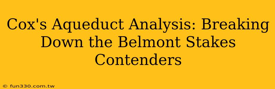 Cox's Aqueduct Analysis: Breaking Down the Belmont Stakes Contenders