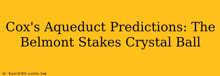 Cox's Aqueduct Predictions: The Belmont Stakes Crystal Ball