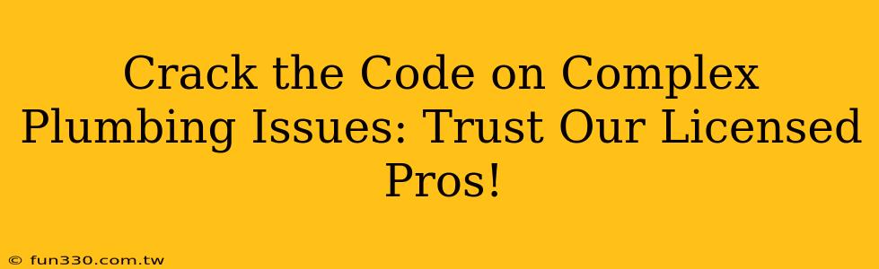 Crack the Code on Complex Plumbing Issues: Trust Our Licensed Pros!