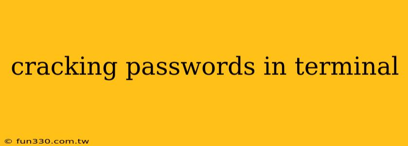 cracking passwords in terminal