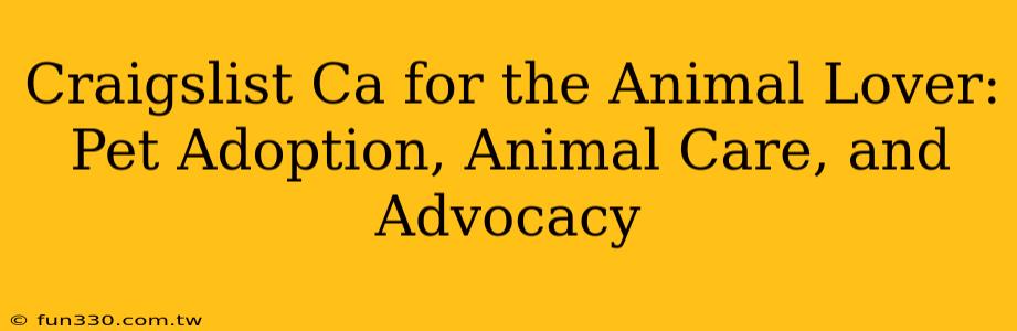 Craigslist Ca for the Animal Lover: Pet Adoption, Animal Care, and Advocacy